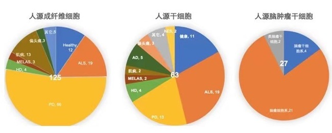 1751425553408066005.jpg 干细胞1.jpg
